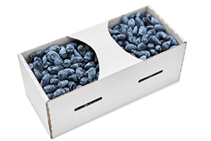 kobiałka tekturowa na pół kg owoców - jagoda kamczacka